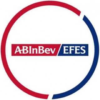 efes1
